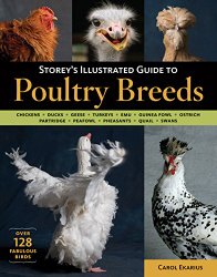 Storey’s Illustrated Guide to Poultry Breeds: Chickens, Ducks, Geese, Turkeys, Emus, Guinea Fowl, Ostriches, Partridges, Peafowl, Pheasants, Quails, Swans