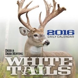 Whitetails 2016 Daily Calendar
