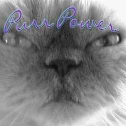 Purr Power (Cat Purr Therapy for Healing and Relaxation)