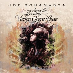 An Acoustic Evening At The Vienna Opera House [2 CD]