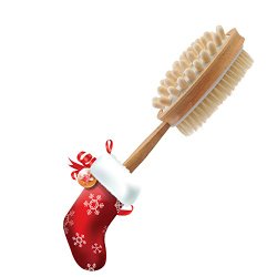 Brusybrush Bath Brush with Natural Bristles for Dry Skin Brush, Cellulite Massage, Detox, Exfoliating, Back Scrub and Shower. 17″ Long Wooden Handle