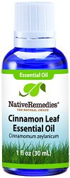 Native Remedies Cinnamon Leaf Essential Oil