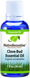 Native Remedies Clove Essential Oil