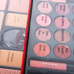 SHANY All In One Makeup Kit (Eyeshadow, Blushes, Powder, Lipstick & More) Holiday Exclusive