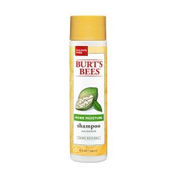 Burt’s Bees More Moisture Shampoo, Baobab Scent, 10 Fluid Ounces (Pack of 3)