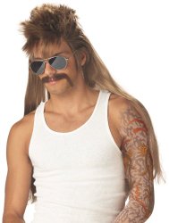 California Costumes Men’s Mississippi Mudflap Wig & Moustache,Multi,One Size