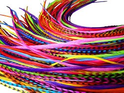 Feather Hair Extensions, 100% Real Rooster Feathers, Long Rainbow Colors, 20 Feathers with Bonus FREE Beads and Loop Tool Kit, By Feather Lily