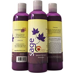Maple Holistics Sage Shampoo for Anti Dandruff with Jojoba, Argan, and Organic Tea Tree Oil – Natural, Sulfate Free Treatment for Women and Men – Safe for Color Treated Hair