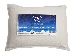 Toddler Pillow Organic Wool – Antibacterial and Hypoallergenic, Premium 100% Certified Organic Wool Pearls Filling, Non GMO, No Poly Fiber & No Synthetic Materials