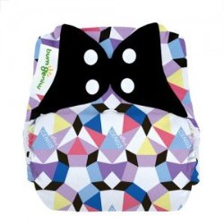 BumGenius Freetime All In One One Size Cloth Diaper Alicia (Limited Edition Print)