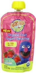 Earth’s Best Organic Fruit Yogurt Smoothie, Mixed Berry, 4.2 Ounce Pouch (Pack of 12)