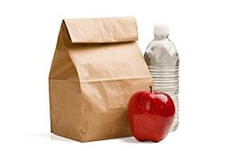 Green Direct Perfect Brown Durable Paper Lunch Bag for All Ages (100)