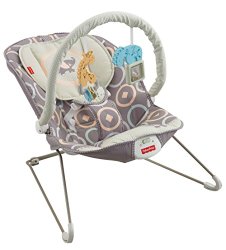 Fisher-Price Baby Bouncer, Luminosity (Discontinued by Manufacturer)