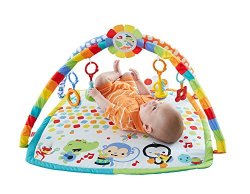 Fisher-Price Baby’s Bandstand Play Gym