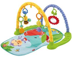 Fisher-Price Link ‘n Play Musical Gym