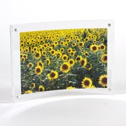 Curved Magnet Frame by Canetti-5×7 inch