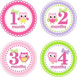 Little LillyBug Designs – Monthly Baby Stickers – Hoot Owls