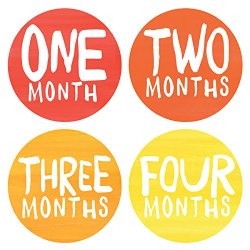 Lucy Darling Baby Monthly Stickers – Gender Neutral – Rainbow Spectrum – Months 1-12