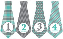 Monthly Baby Ties, Baby Boy, Gray Blue, Grey, Month Necktie
