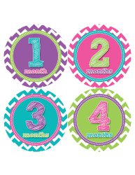 Months in Motion 284 Monthly Baby Stickers Baby Girl Months 1-12 Milestone