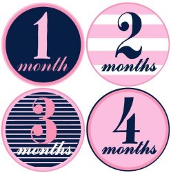 Mumsy Goose Baby Girl Monthly Milestone Stickers 1-12 Months Pink and Navy