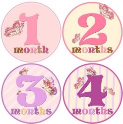 Mumsy Goose Baby Girl Monthly Milestone Stickers 1-12 Months