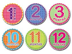 Sticky Bellies – Sticky Bellies Monthly Milestone Stickers – Oh Sew Adorable 1-12 months