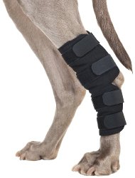 Back on Track 7-Inch Length by 6-Inch Top Width by 4.7-Inch Bottom Width Therapeutic Dog Rear Leg/Hock Brace with 4 Adjustable Velcro Straps, Small