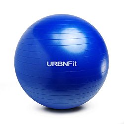 Exercise Ball (65 CM) for Stability & Yoga – Workout Guide Incuded – Professional Quality (Blue)