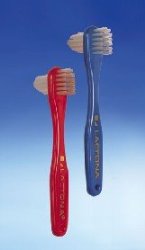 Lactona Denture Brushes #500 – short handle