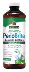 Nature’s Answer PerioBrite Alcohol-Free Mouthwash, Cool Mint, 16-Fluid Ounce
