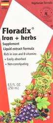Floradix Iron + Herbs, 8.5-Ounce Glass Bottle