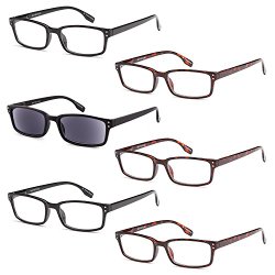 GAMMA RAY READERS 6 Pairs Men and Women Readers with Sun Readers Flexible Spring Hinge Unisex