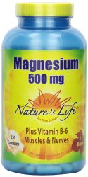 Nature’s Life Magnesium Capsules, 500Mg, 250 Count