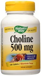 NATURE’S WAY Choline 500mg 100 Tablets