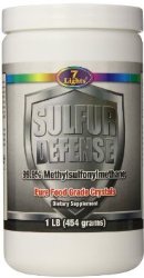 7 LIGHTS NUTRITION Sulfur Defense MSM, 1lb