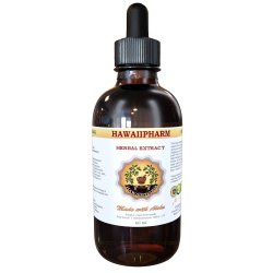 Bilberry (Vaccinium myrtillus) Liquid Extract 4 oz