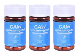 CAW Hypersorption Cycloastragenol | 10Mg 30Enteric-coated Capsules 3bottles(90caps in Total)
