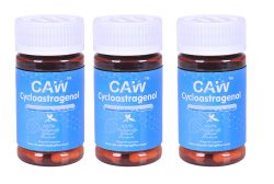 CAW Hypersorption Cycloastragenol | 25Mg 30Enteric-coated Capsules 3 bottle