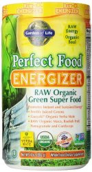 Garden of Life Perfect Food® RAW – Energizer Raw Organic  Green Super Food Powder, 282g Powder