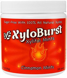 XyloBurst Mint Jar Cinnamon 300 count (6.35oz)