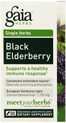 Gaia Herbs Black Elderberry Liquid Phyto-Capsules, 30 Count (Pack of 2)