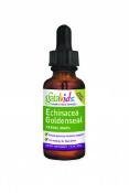 Gaia Herbs Echinacea Goldenseal For Children (Liquid), 1 oz
