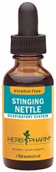 Herb Pharm Alcohol-Free Stinging Nettle Glycerite – 1 Ounce