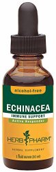 Herb Pharm Certified Organic Alcohol-Free Echinacea Glycerite for Immune Support – 1 Ounce