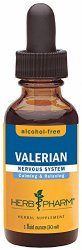 Herb Pharm Certified Organic Alcohol-Free Valerian Root Glycerite for Restful Sleep – 1 Ounce