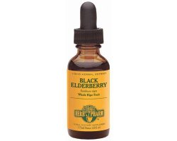 Herb Pharm Certified Organic Black Elderberry Extract for Immune System Support – 1 Ounce