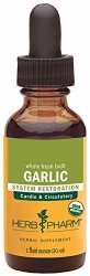 Herb Pharm Certified Organic Garlic Extract for Cardiovascular and Circulatory Support – 1 Ounce