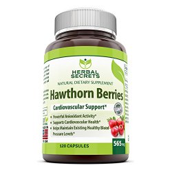 Herbal Secrets 100% pure Hawthorn Berries Capsules- Antioxidant properties- 565 mg All Herbal Capsules – 120 capsules Per Bottle