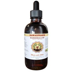 Marshmallow Liquid Extract, Organic Marshmallow (Althaea officinalis) Tincture Supplement 4 oz